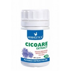 Cicoare extract 70 Cps