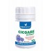Cicoare extract 70 Cps